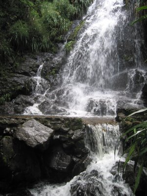 BIOTOPO